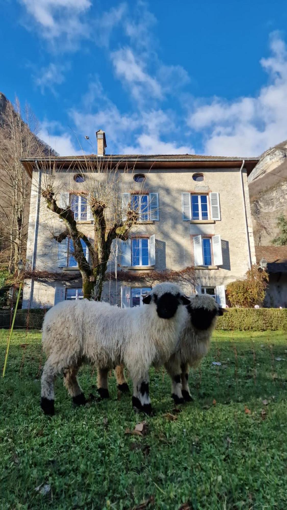 Chateau Monts Blancs Lumbin Exteriér fotografie